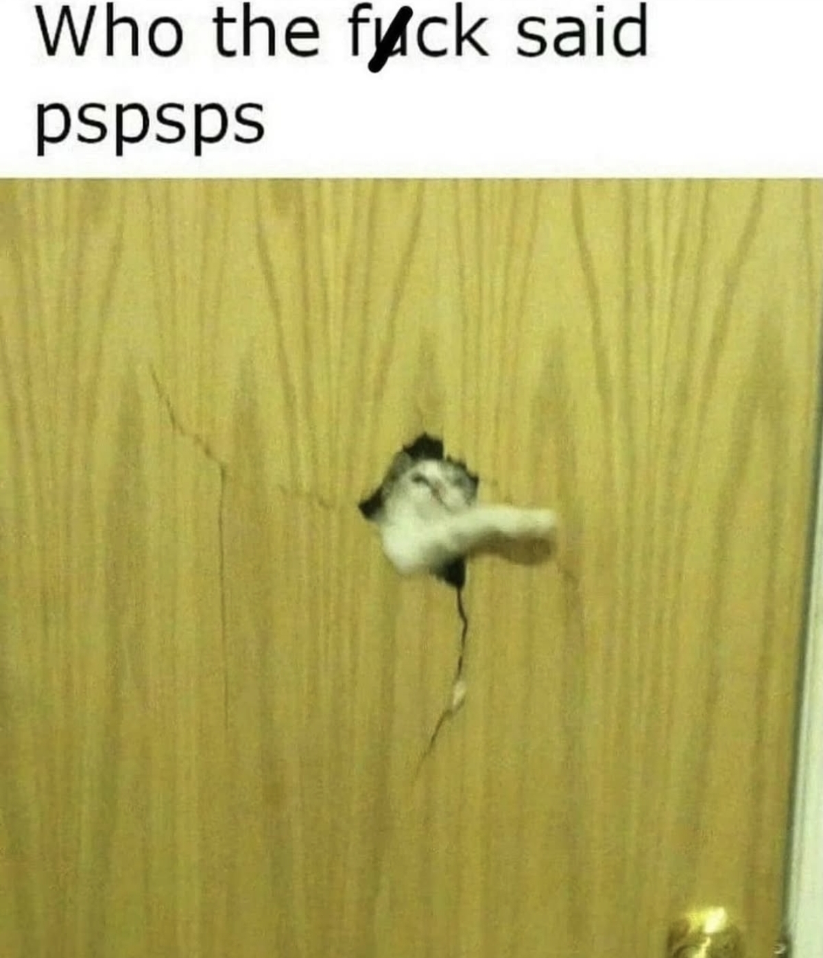 cpoj.jpg
